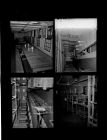 Prison Farm (4 Negatives) 1950s, undated [Sleeve 55, Folder k, Box 21]